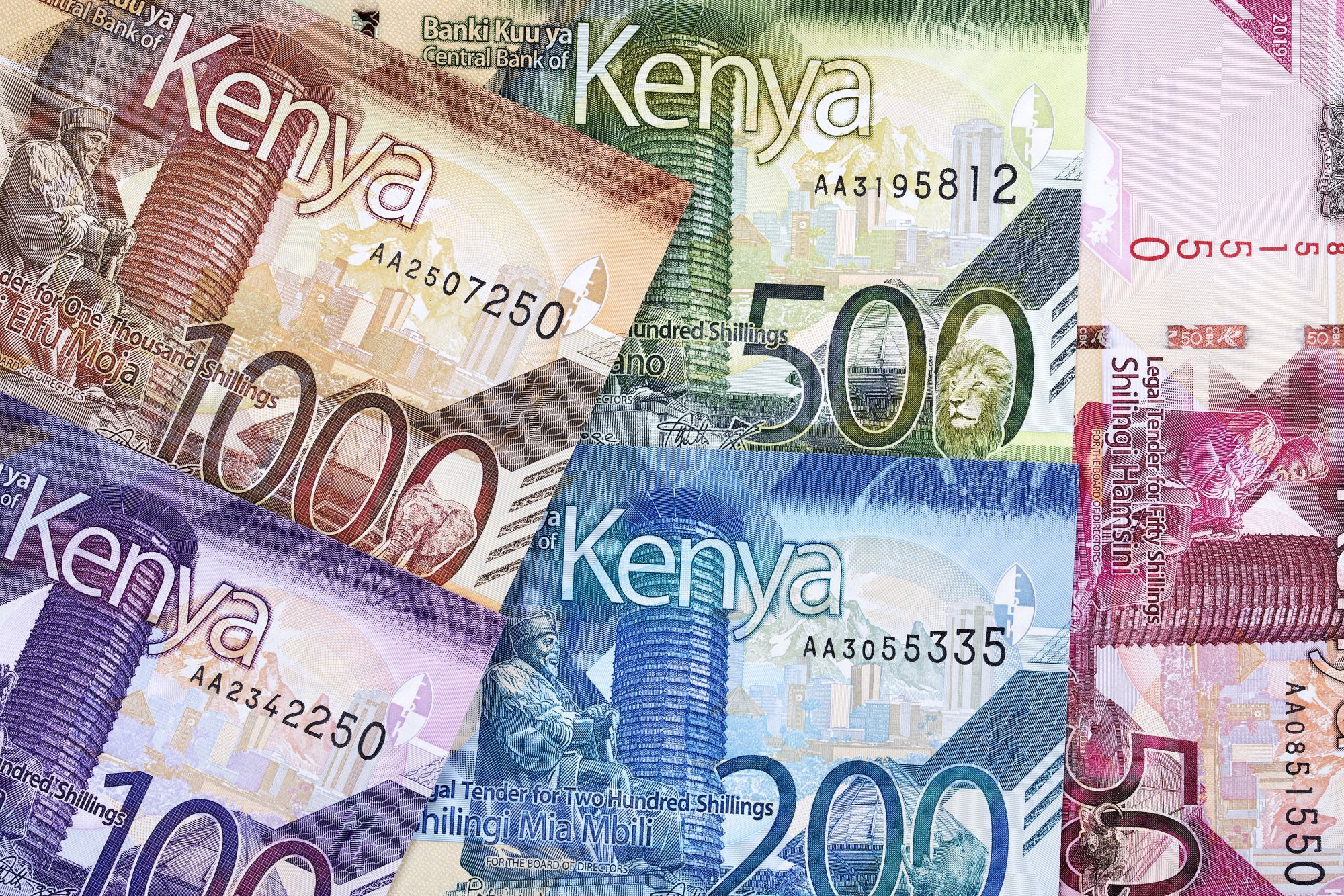 Centralne banki afrykańskich krajów zachęcają do CBDC